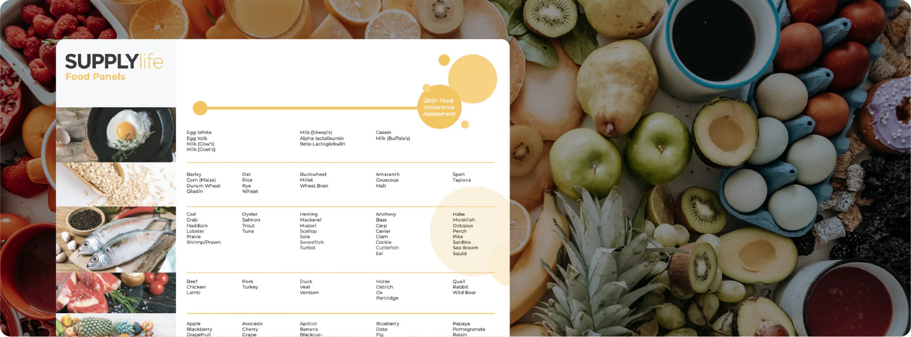 Master Your Body's Nutrition